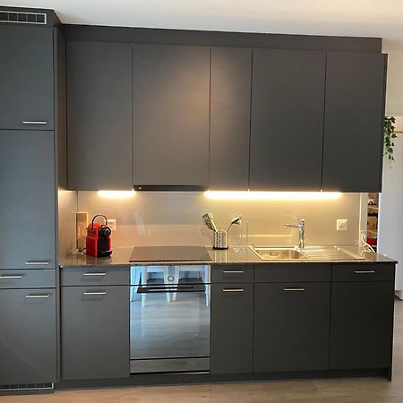 Beautiful Flat With Nice Lake And Mountain Views ヴェークギス エクステリア 写真