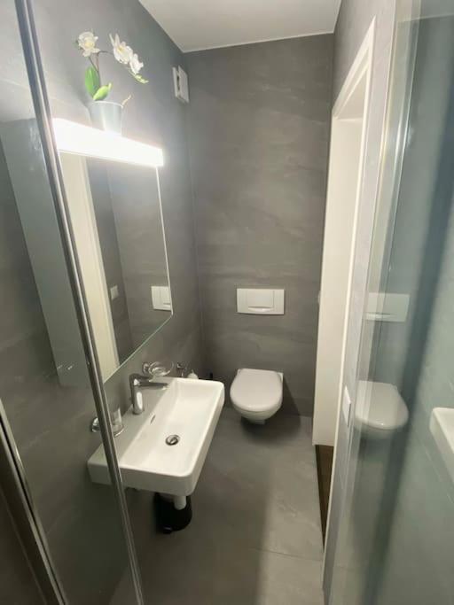 Beautiful Flat With Nice Lake And Mountain Views ヴェークギス エクステリア 写真