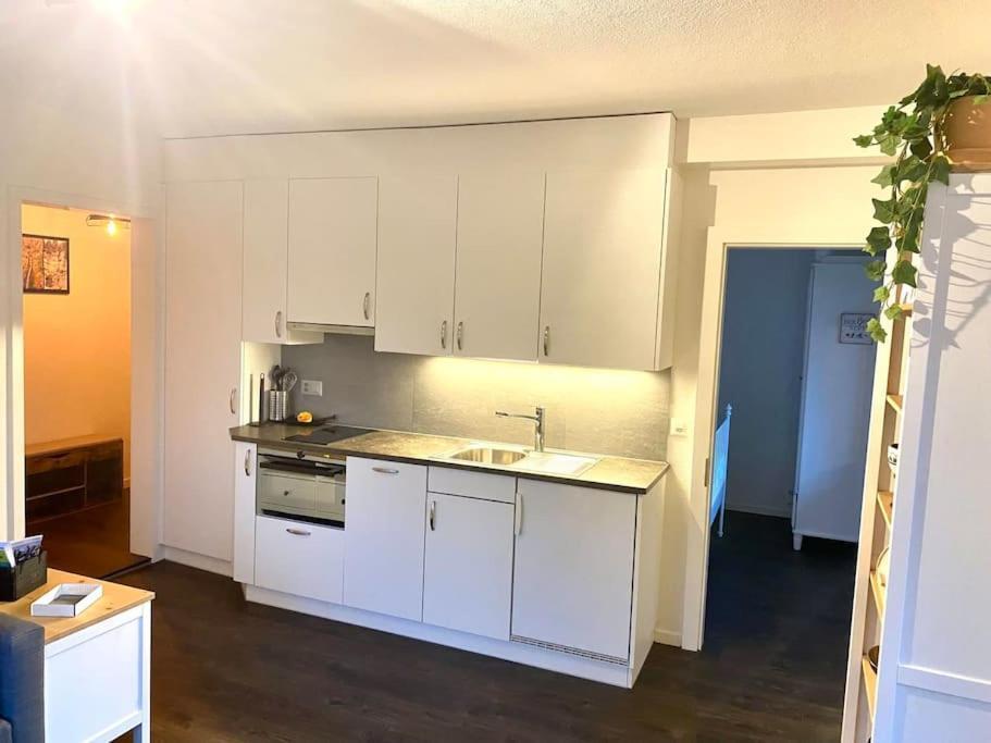Beautiful Flat With Nice Lake And Mountain Views ヴェークギス エクステリア 写真