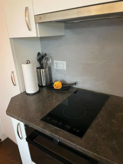 Beautiful Flat With Nice Lake And Mountain Views ヴェークギス エクステリア 写真
