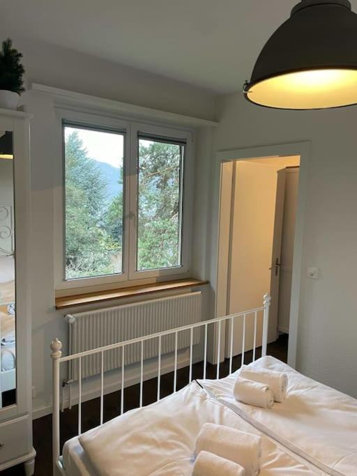 Beautiful Flat With Nice Lake And Mountain Views ヴェークギス エクステリア 写真