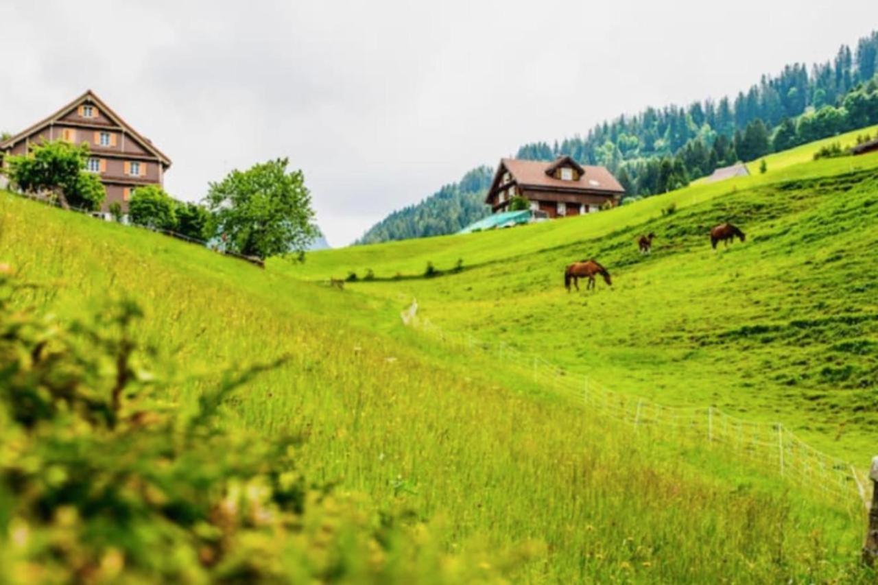 Beautiful Flat With Nice Lake And Mountain Views ヴェークギス エクステリア 写真