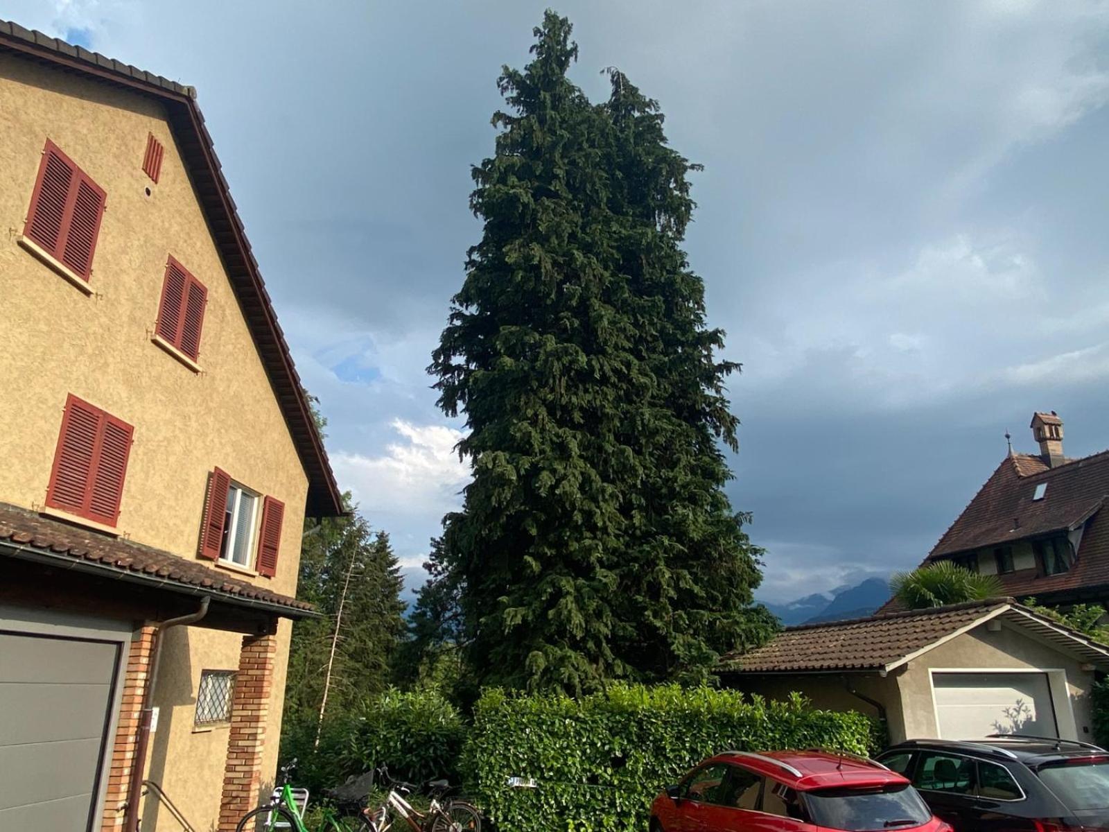 Beautiful Flat With Nice Lake And Mountain Views ヴェークギス エクステリア 写真